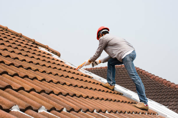 Trusted Zephyrhills South, FL  Roofing repair and installation Experts